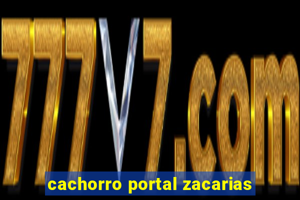 cachorro portal zacarias